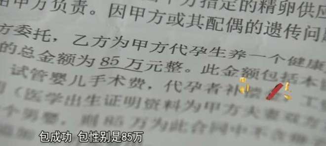 广州起底内幕 助孕颜值学历均成筹码 一条龙服务85万包成功(图5)